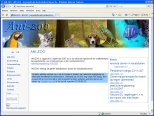 www.ani-zoo.be