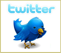 Share Abusol on Twitter